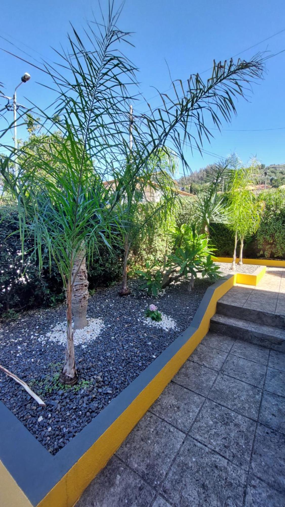 Villa Strelitzia 푼샬 외부 사진